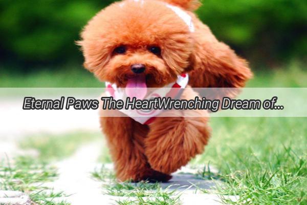 Eternal Paws The HeartWrenching Dream of a Dogs Tragic Death in a Canine Confrontation